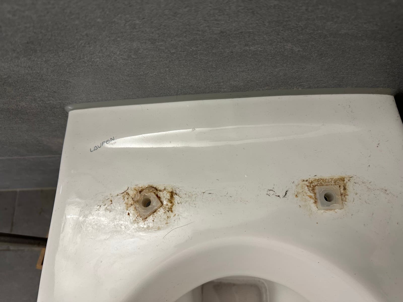 WC-Reinigung before professional service